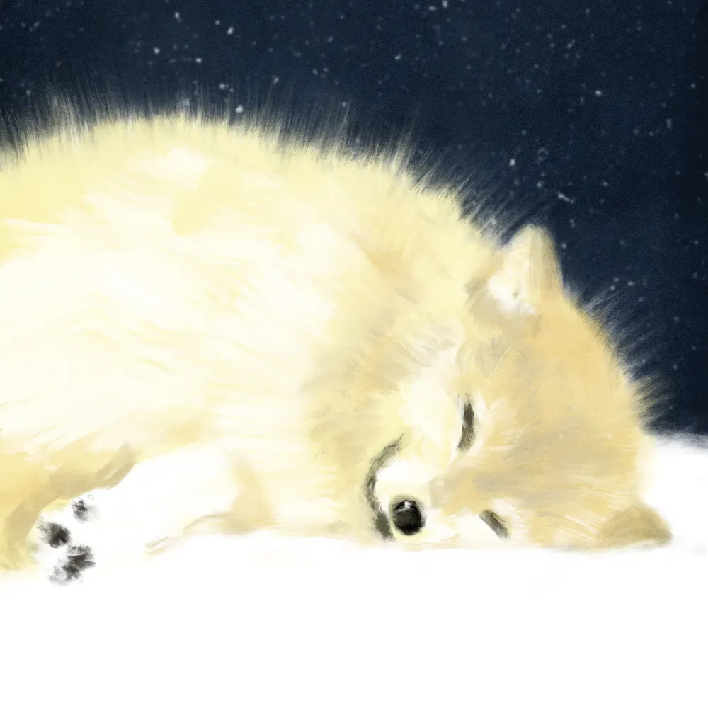 em913em.bsky.social's profile picture