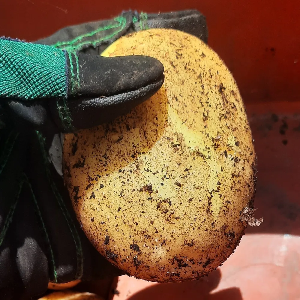 br3nda.bsky.social's profile picture