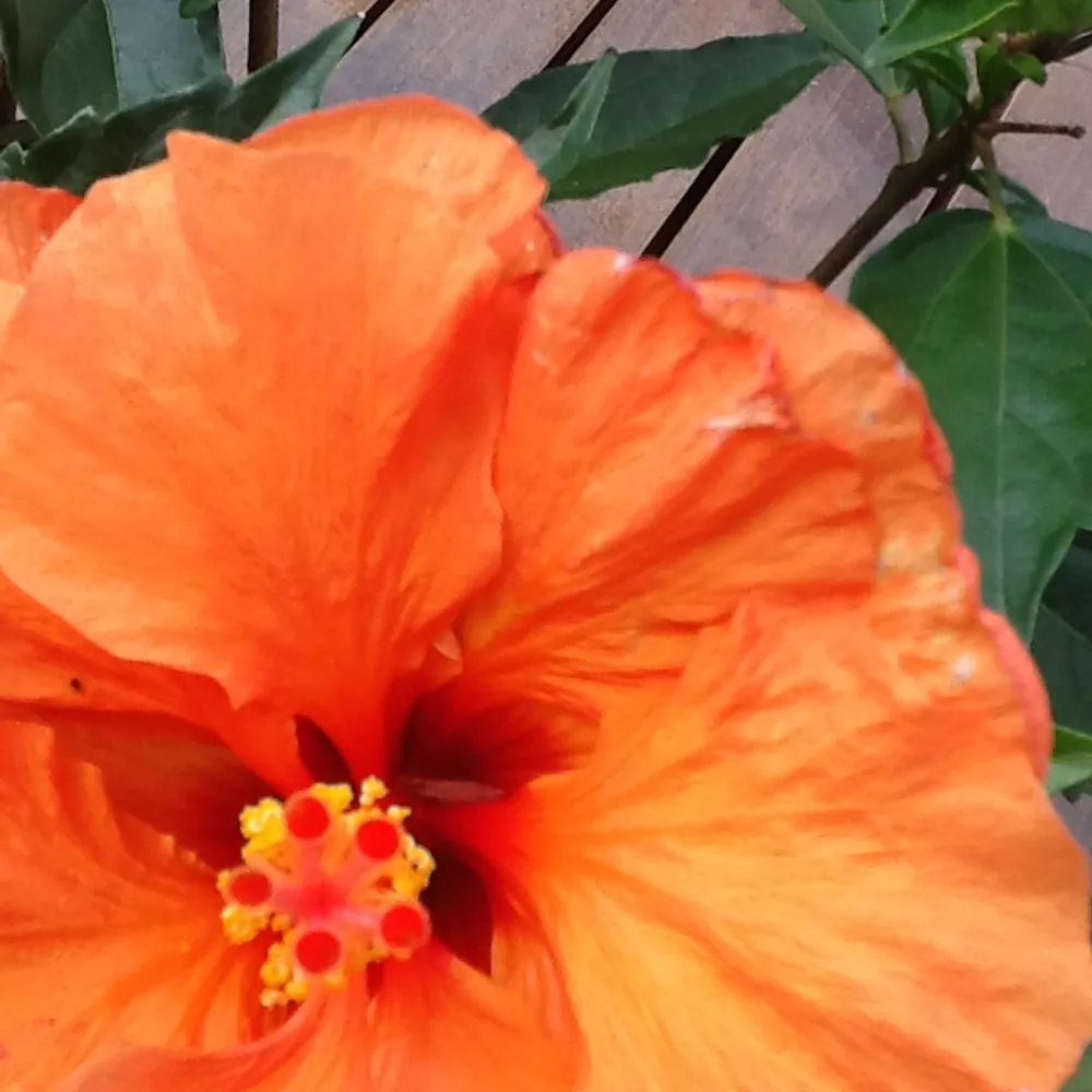 lessafetoday08.bsky.social's profile picture