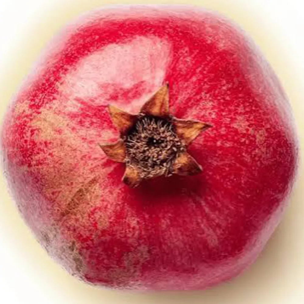 tickletime.bsky.social's profile picture