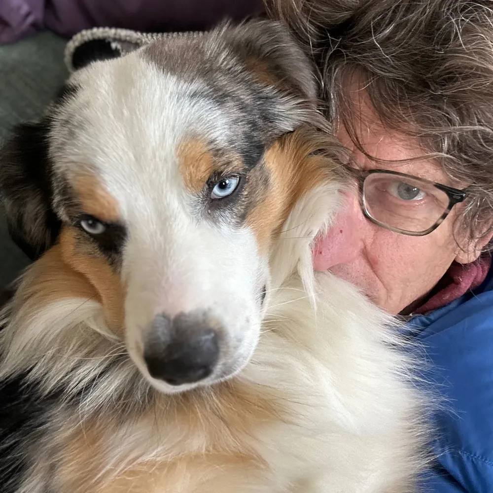 dpkane11705.bsky.social's profile picture