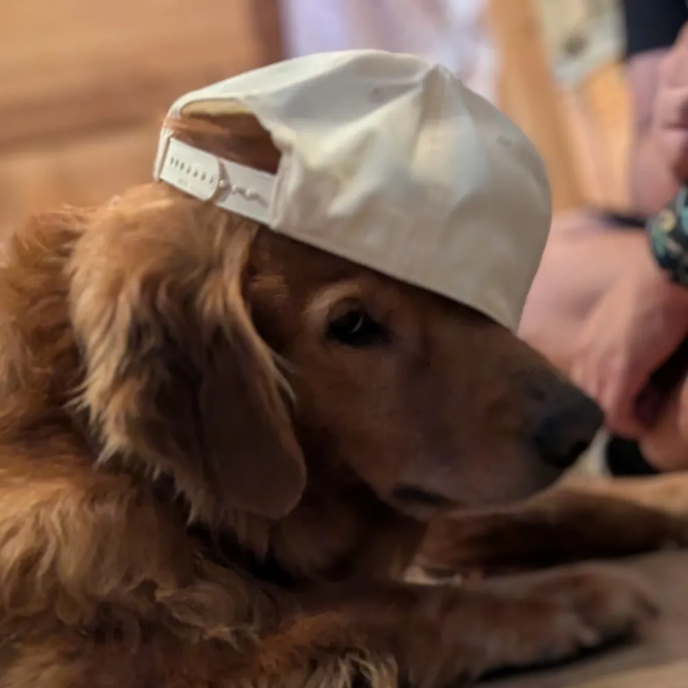 chrisblackton.me's profile picture