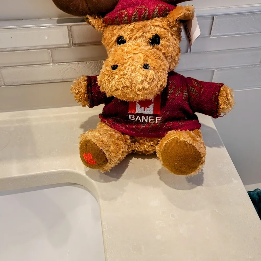 jrm4552.bsky.social's profile picture