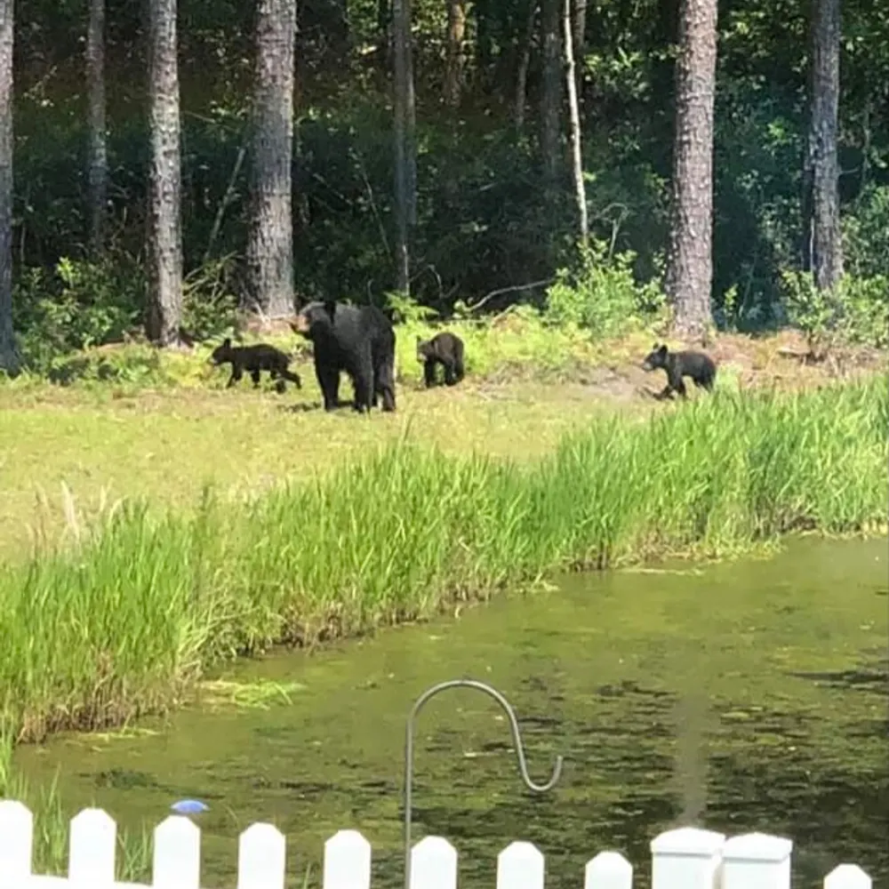 oksir.bsky.social's profile picture