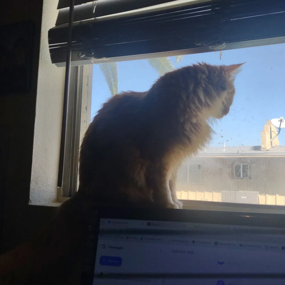 carlpavlock.bsky.social's profile picture