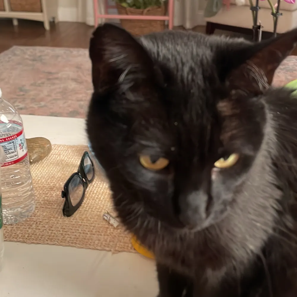 envy2024.bsky.social's profile picture