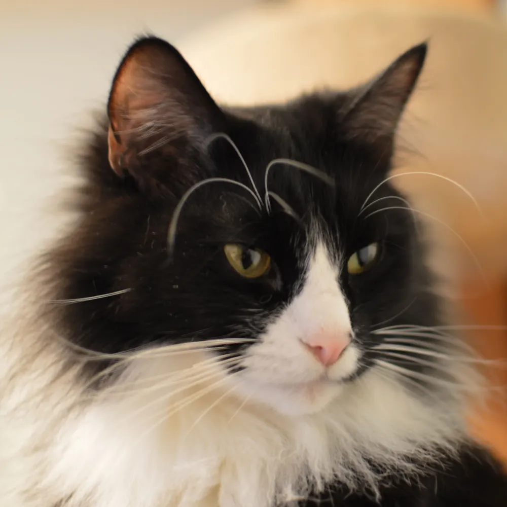 kderbyshire.bsky.social's profile picture