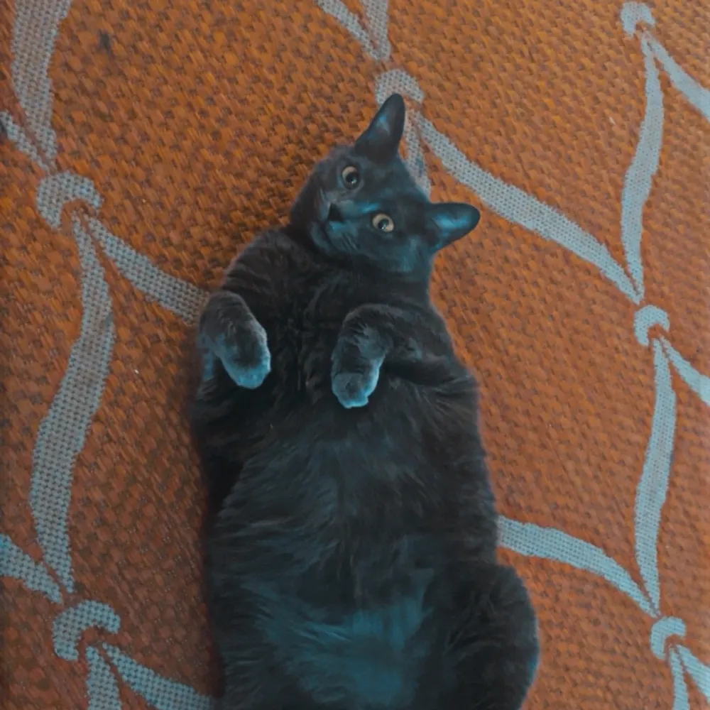 matthewie.bsky.social's profile picture