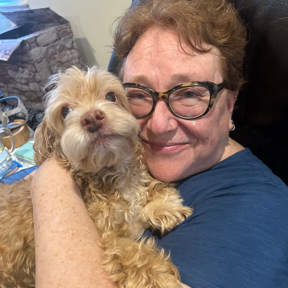 annpinto.bsky.social's profile picture