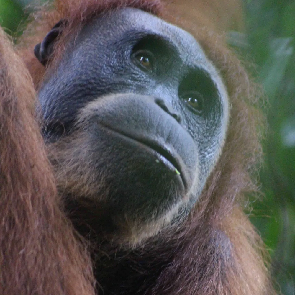 askme99.bsky.social's profile picture