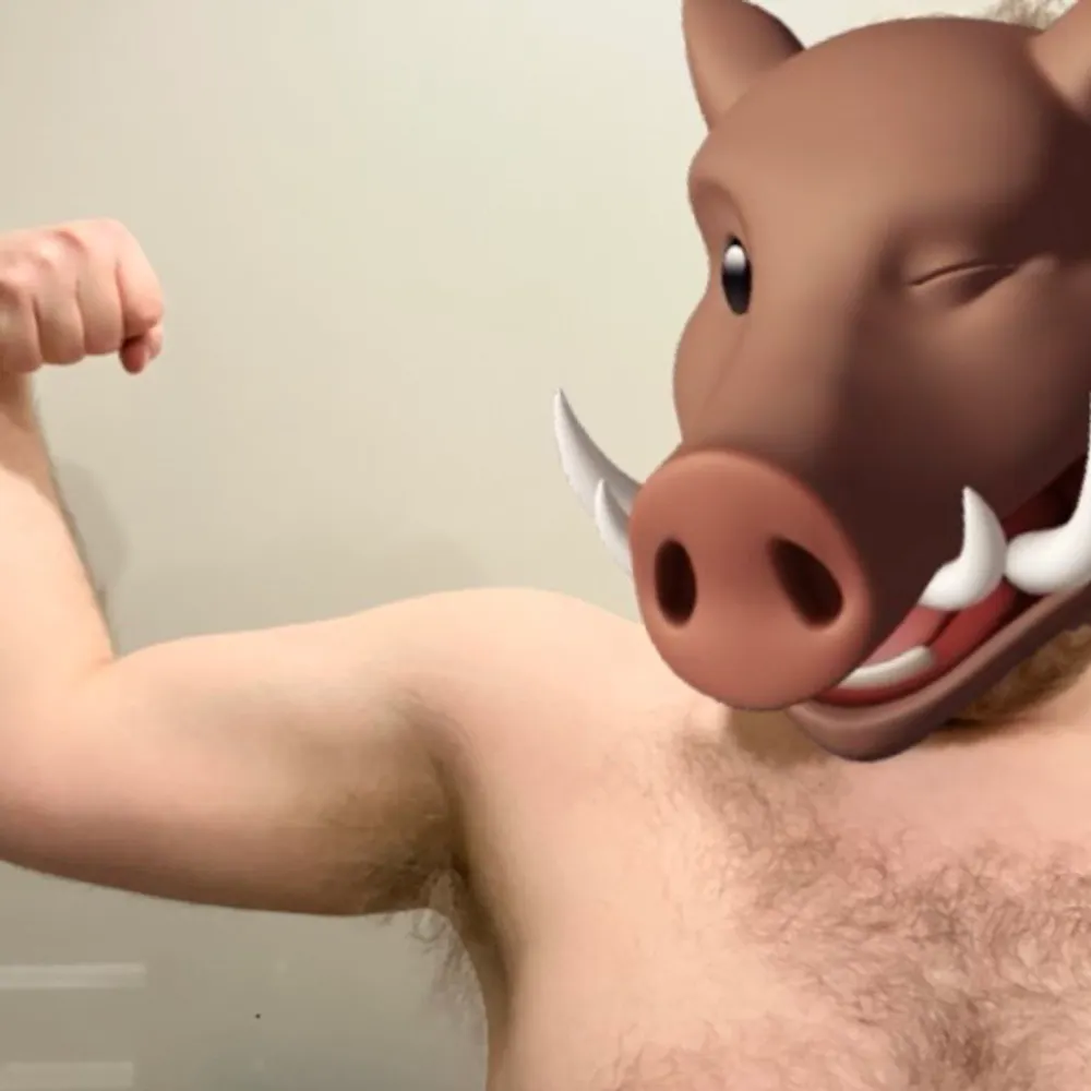 stinkybearskin.bsky.social's profile picture