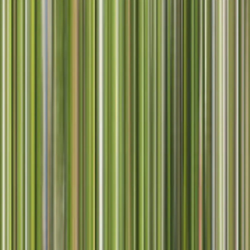 miskaknapek.bsky.social's profile picture