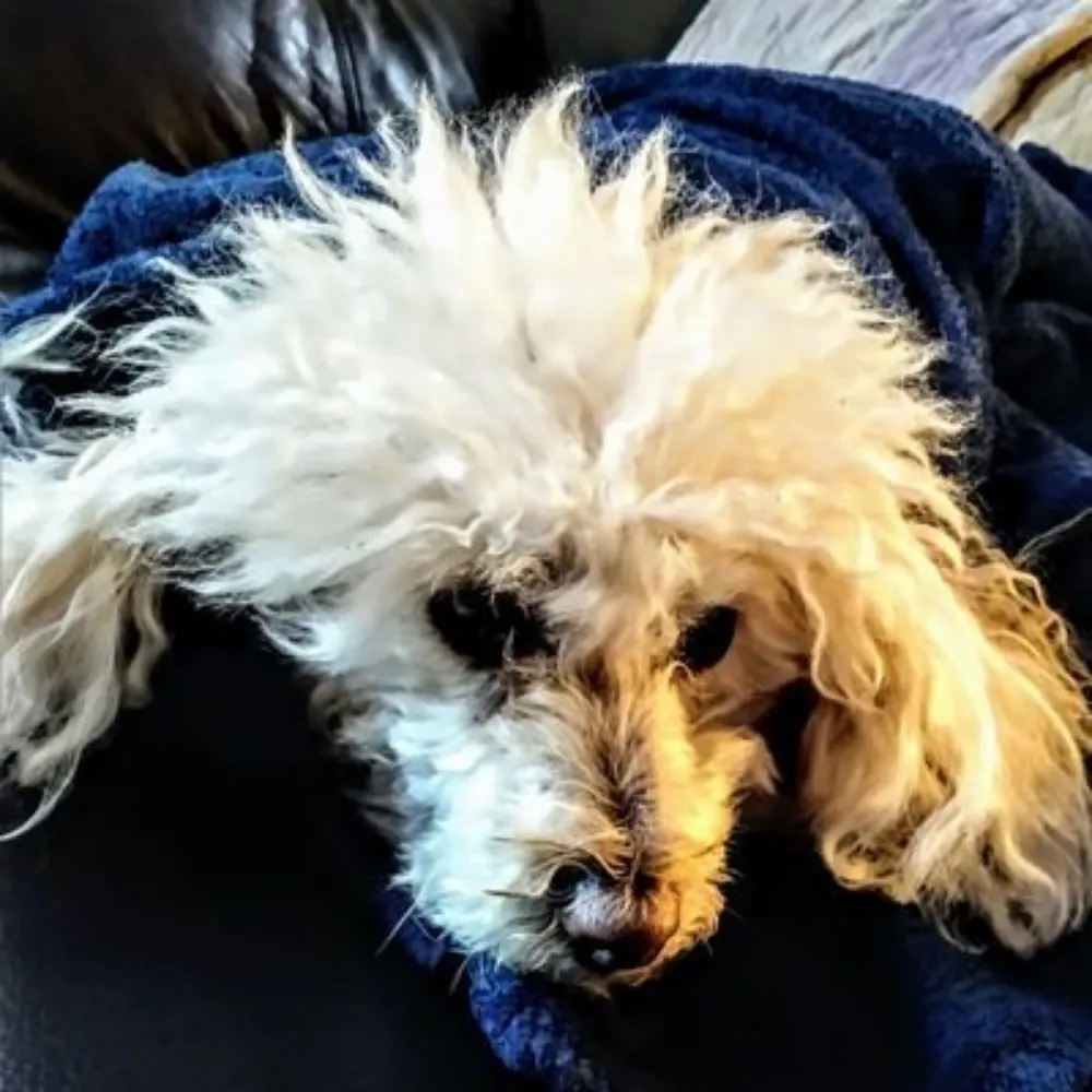 thehullpoint.bsky.social's profile picture