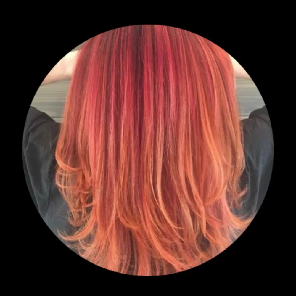 annenotation.bsky.social's profile picture