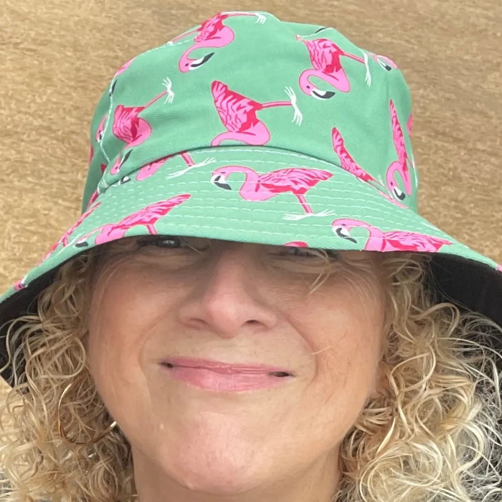 cookiespencer.bsky.social's profile picture