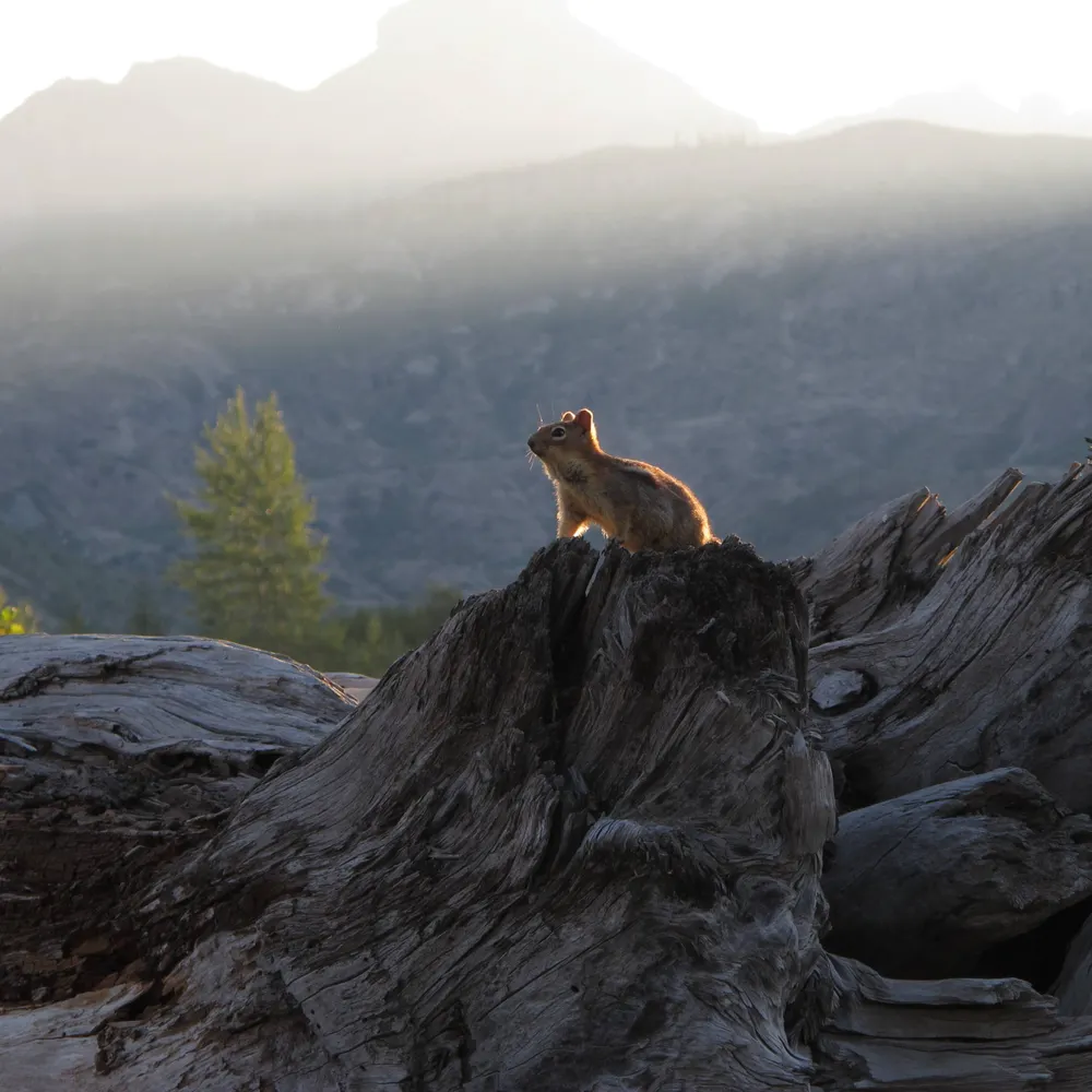 tomek-here.bsky.social's profile picture