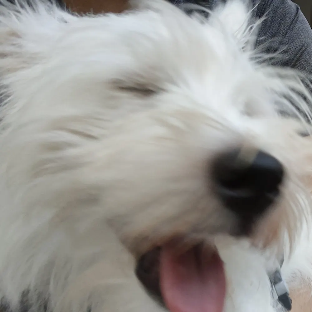 natespithe.bsky.social's profile picture