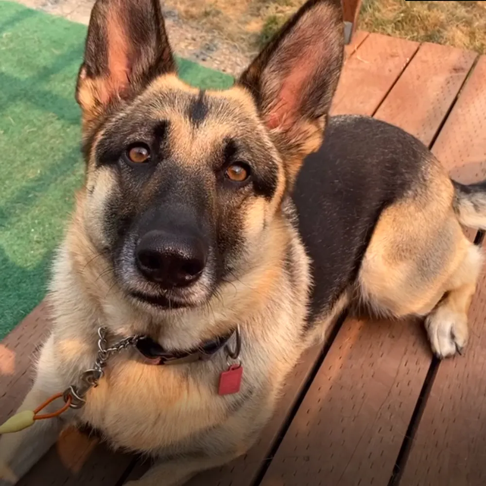 queentmg.bsky.social's profile picture