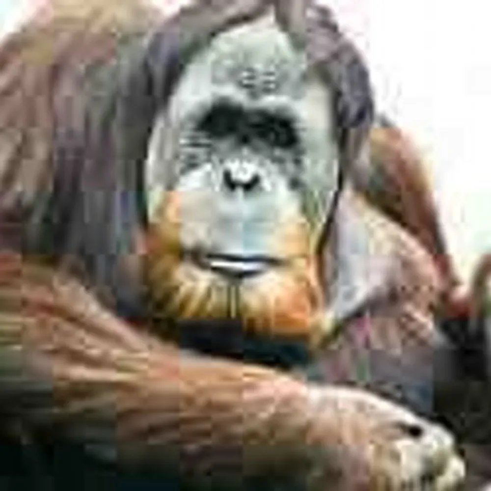 hairyloon.bsky.social's profile picture