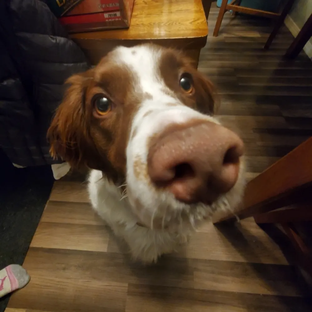 mikeinmt.bsky.social's profile picture