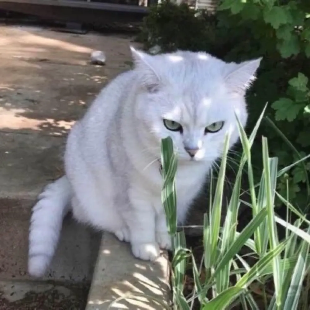 christiemac.bsky.social's profile picture