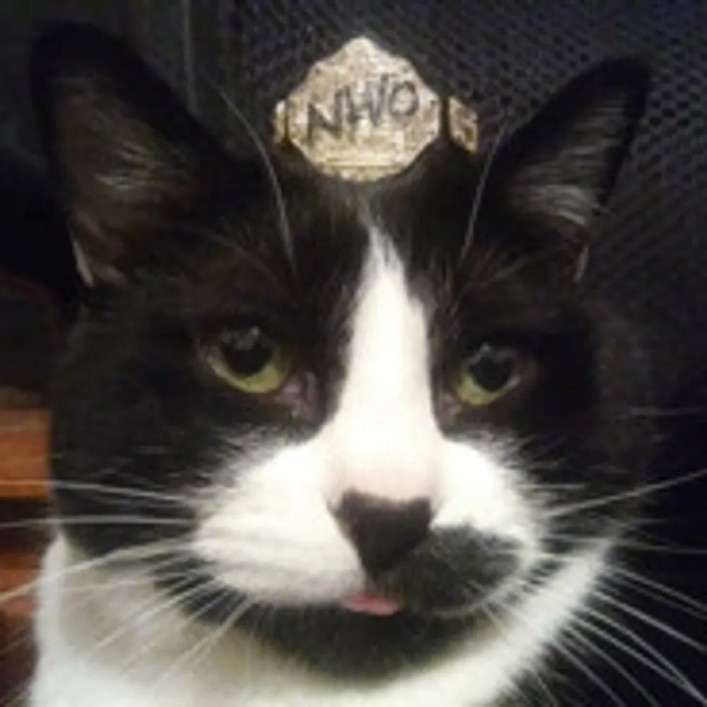 bowm4080.bsky.social's profile picture