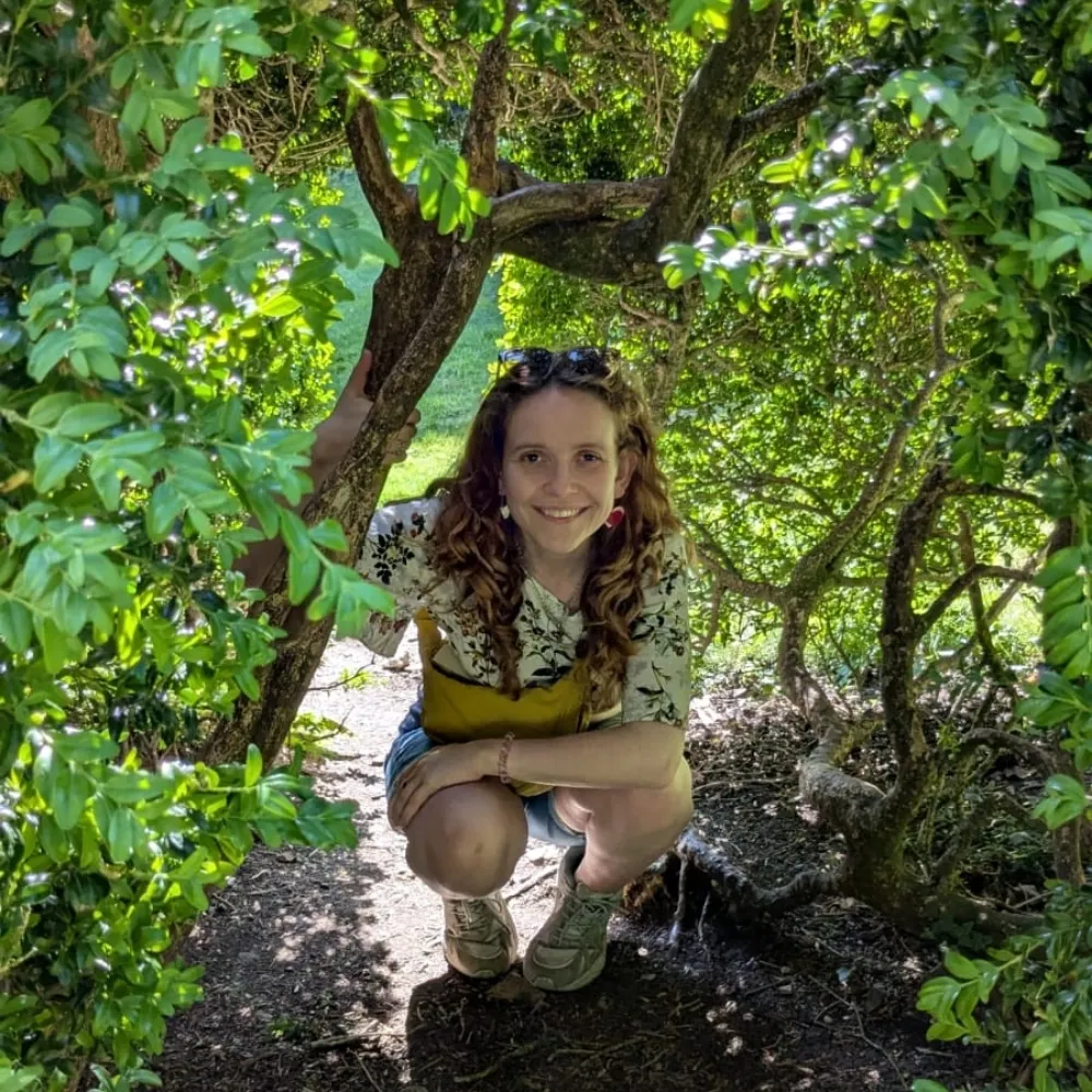 dozyrozy.bsky.social's profile picture