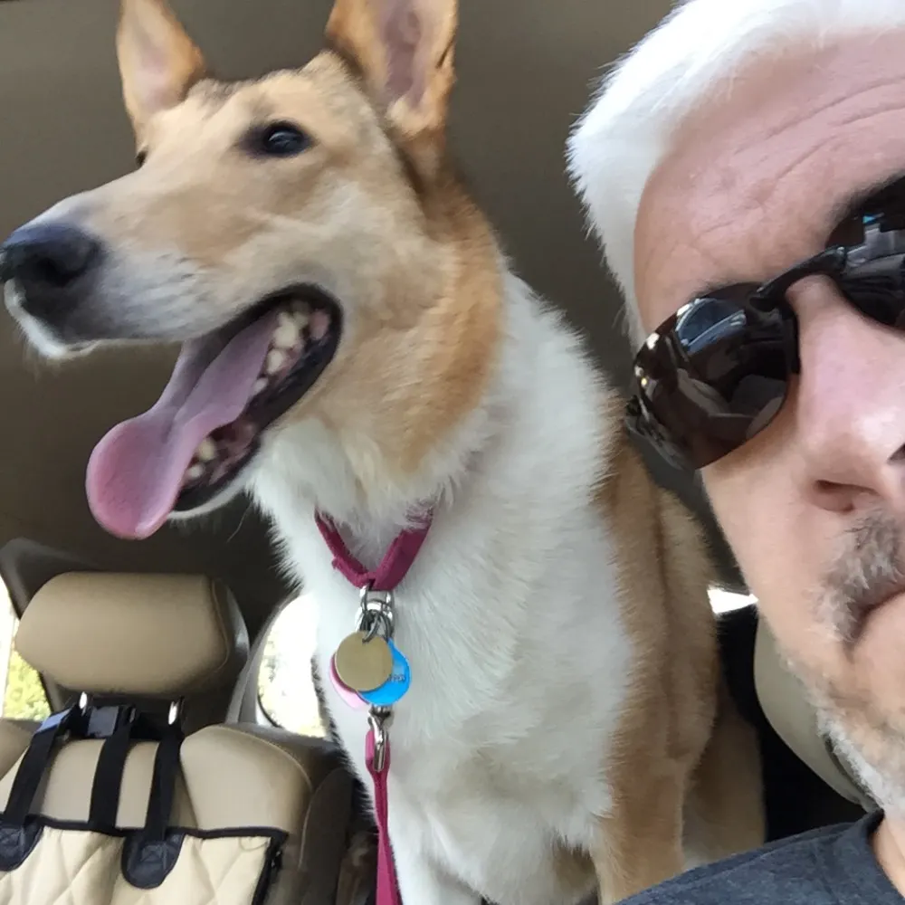 itsmikeschwartz.bsky.social's profile picture