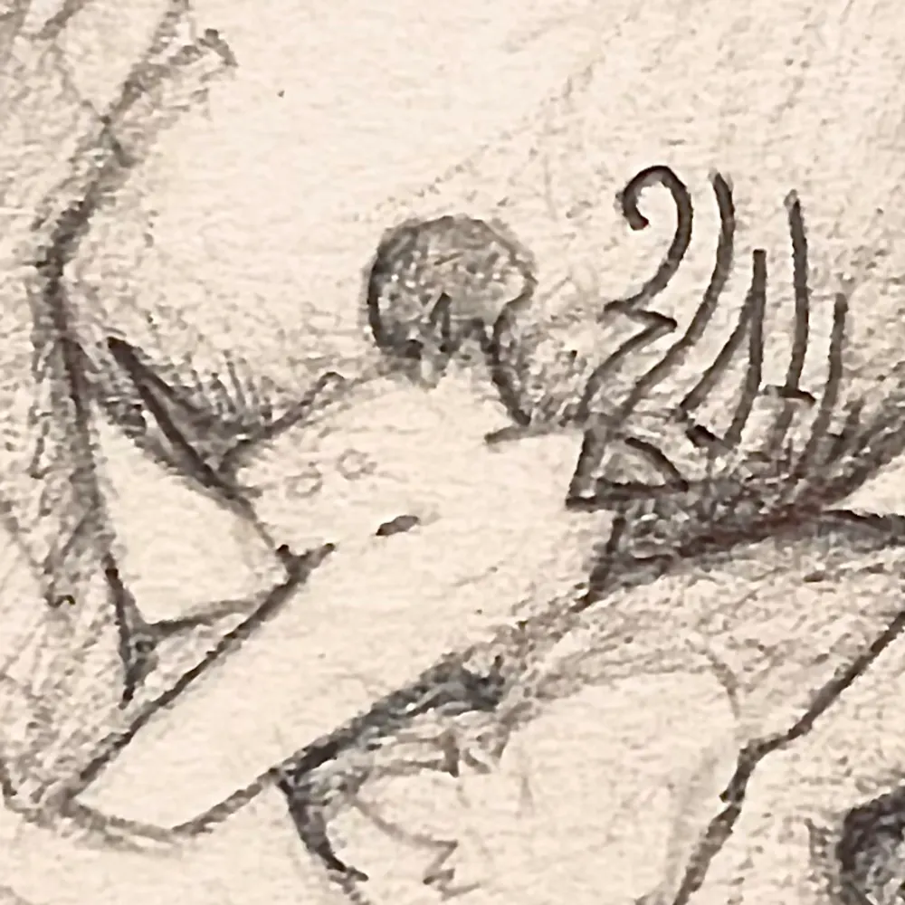 oscaropossum.bsky.social's profile picture