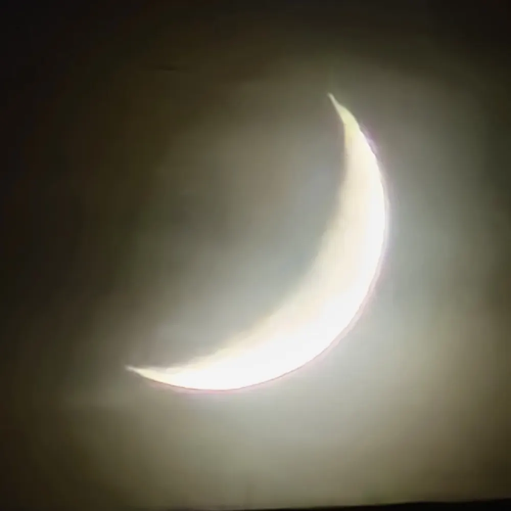 handle.invalid's profile picture