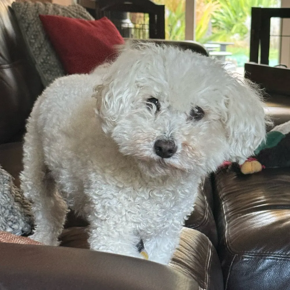 ldarroyo66.bsky.social's profile picture