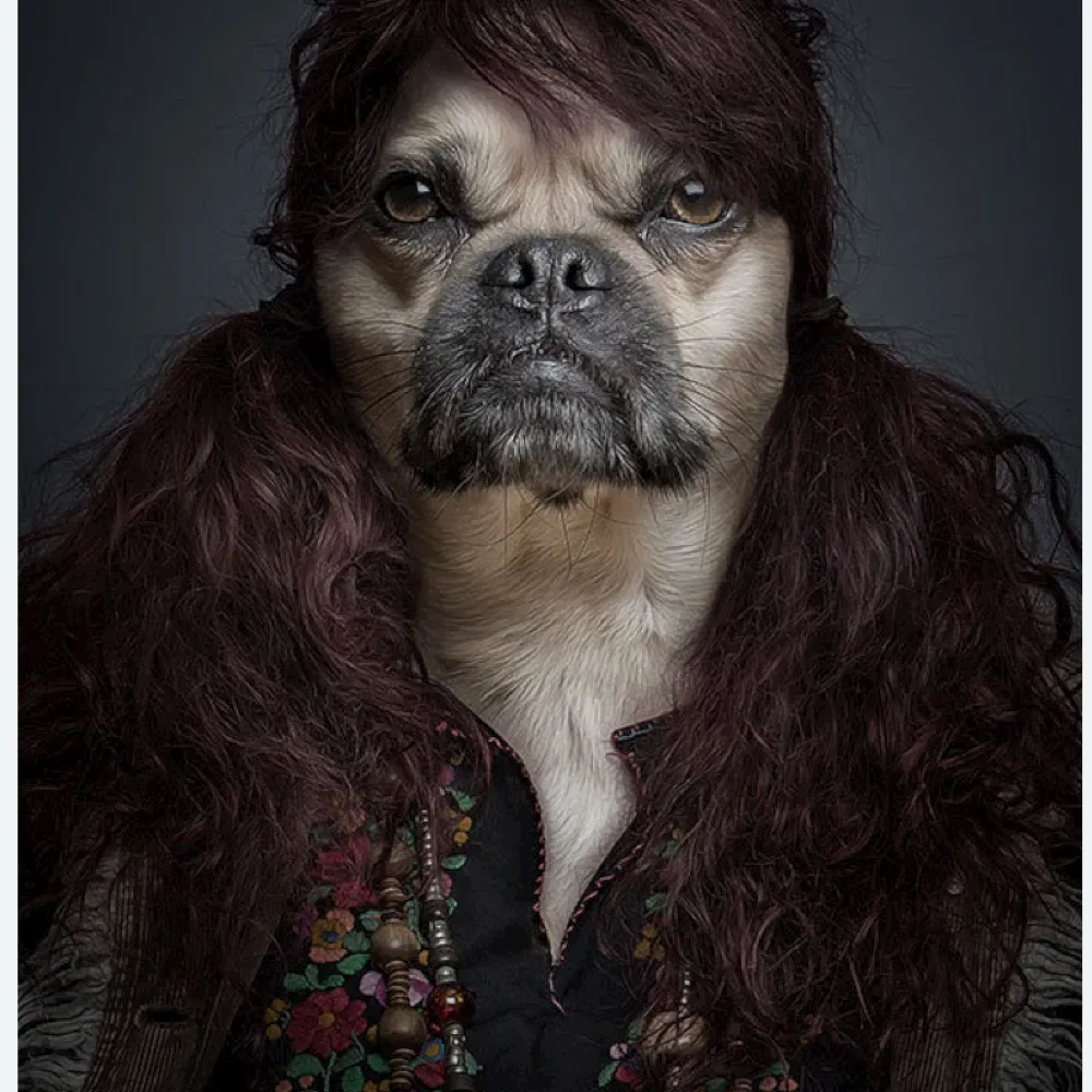 1seetruth.bsky.social's profile picture