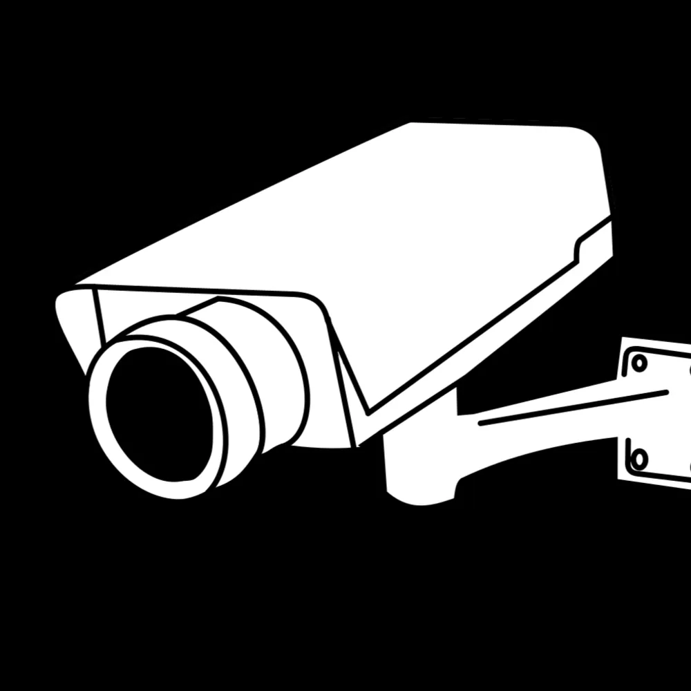 ren-lv.bsky.social's profile picture