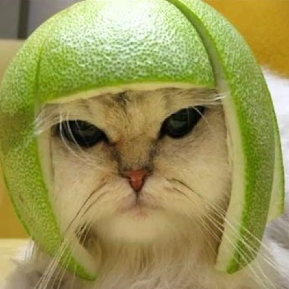 rabagast.bsky.social's profile picture