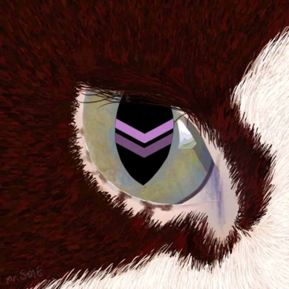 dreadlordmrson.bsky.social's profile picture