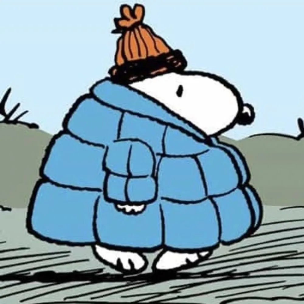 carbinkjames.bsky.social's profile picture