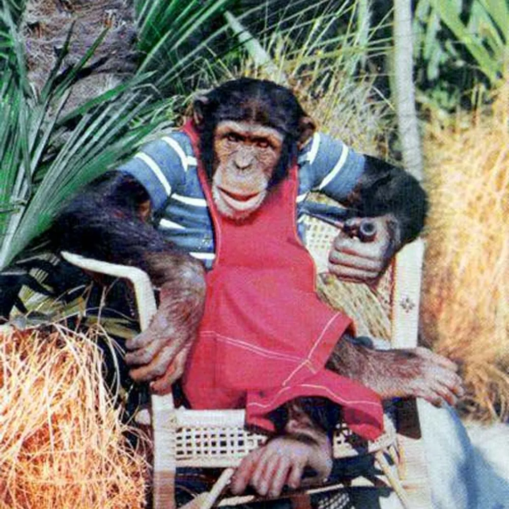 crackermack.bsky.social's profile picture