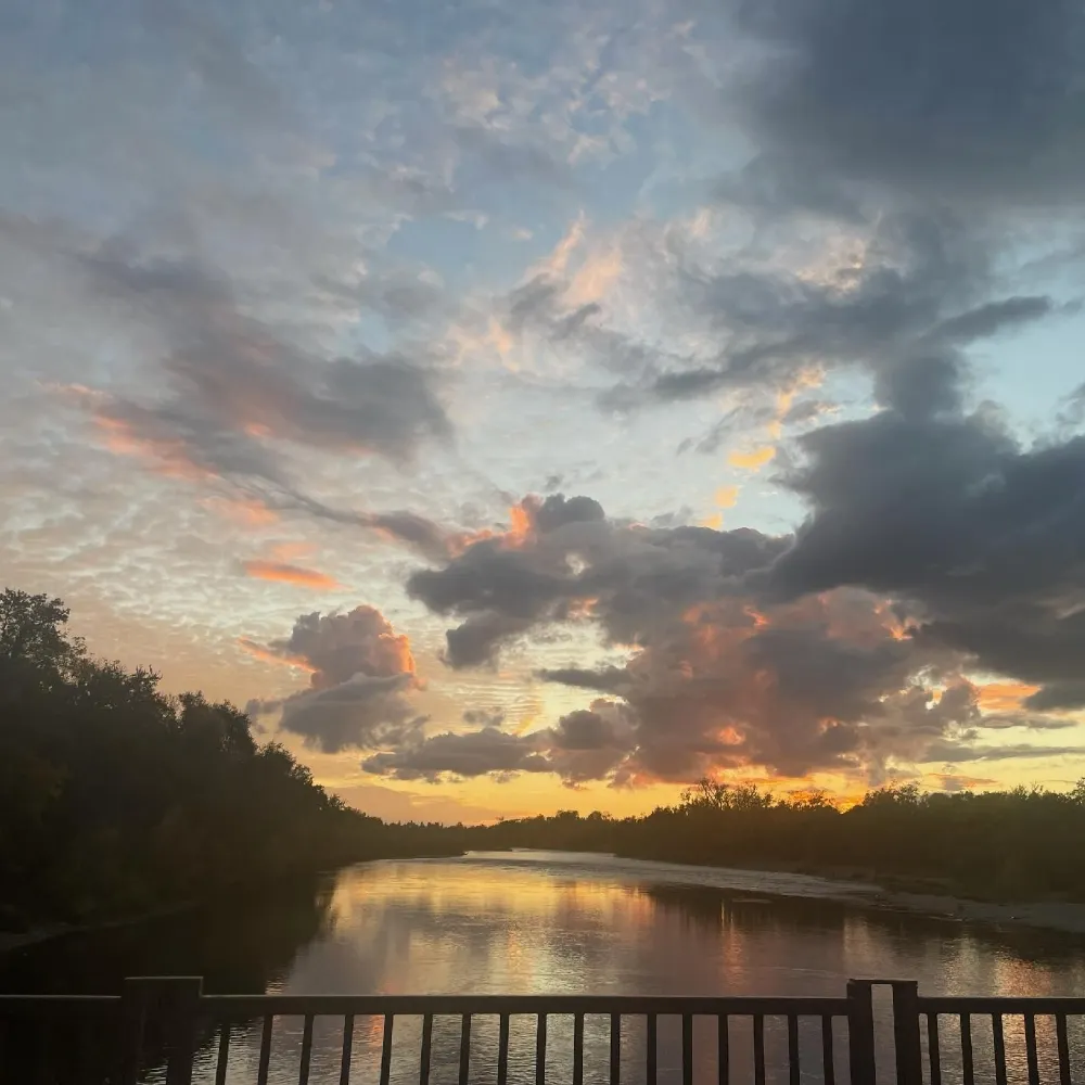 karenwalz-kk62.bsky.social's profile picture