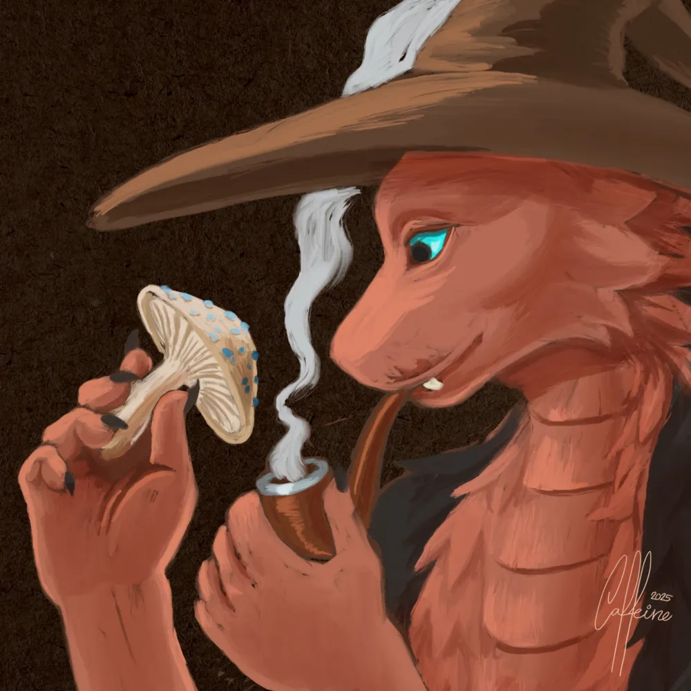 wessnek.bsky.social's profile picture