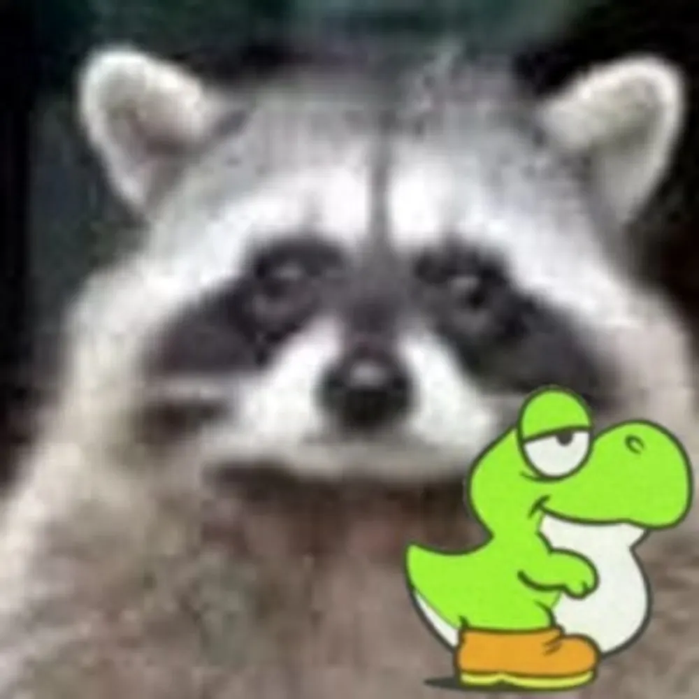 raccoon.pictures's profile picture