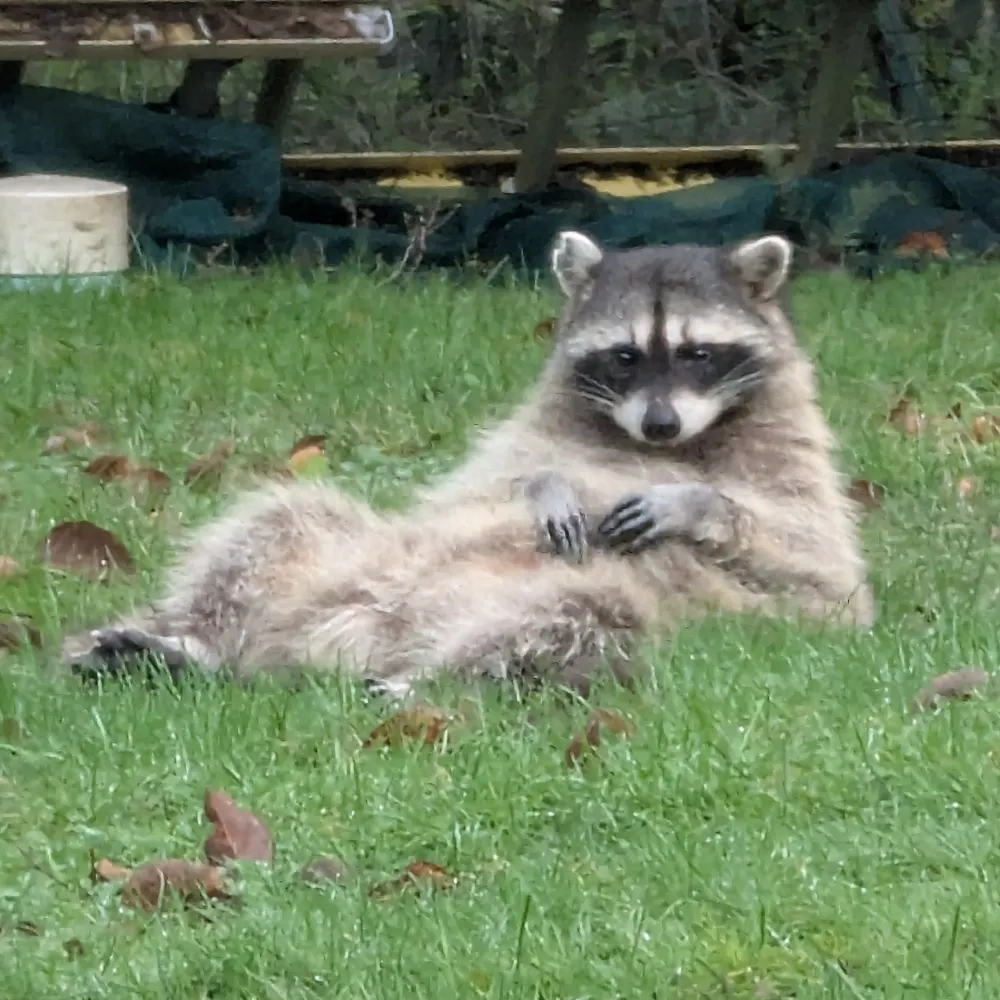 andrewnk.bsky.social's profile picture