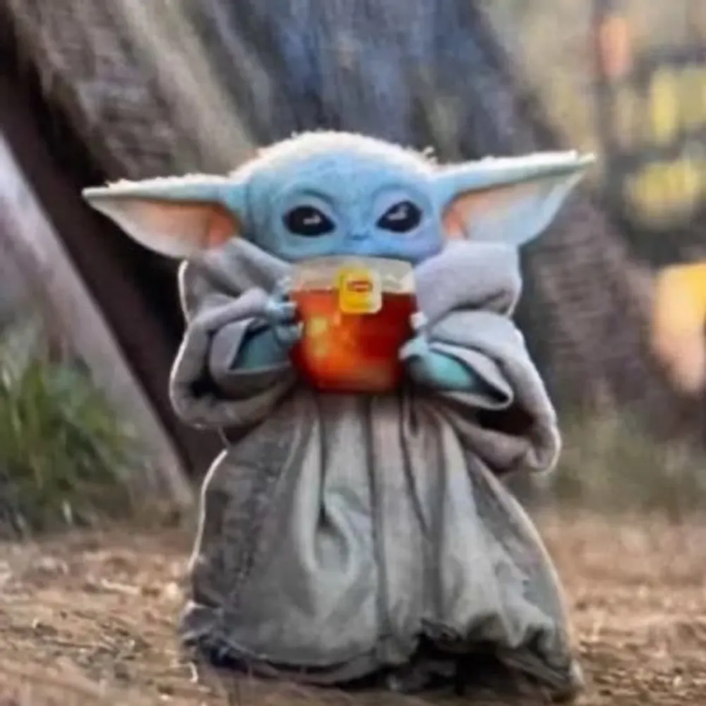 ksunny.bsky.social's profile picture