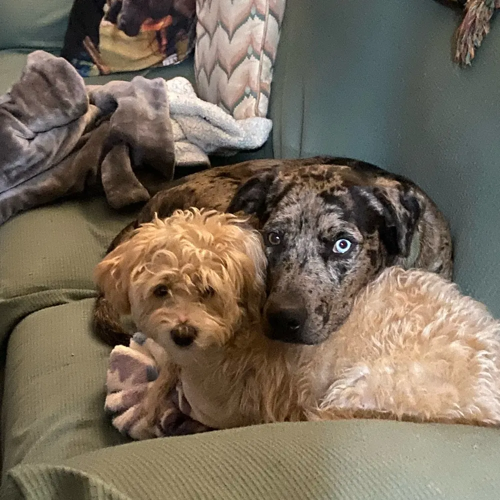 sherryjustice.bsky.social's profile picture