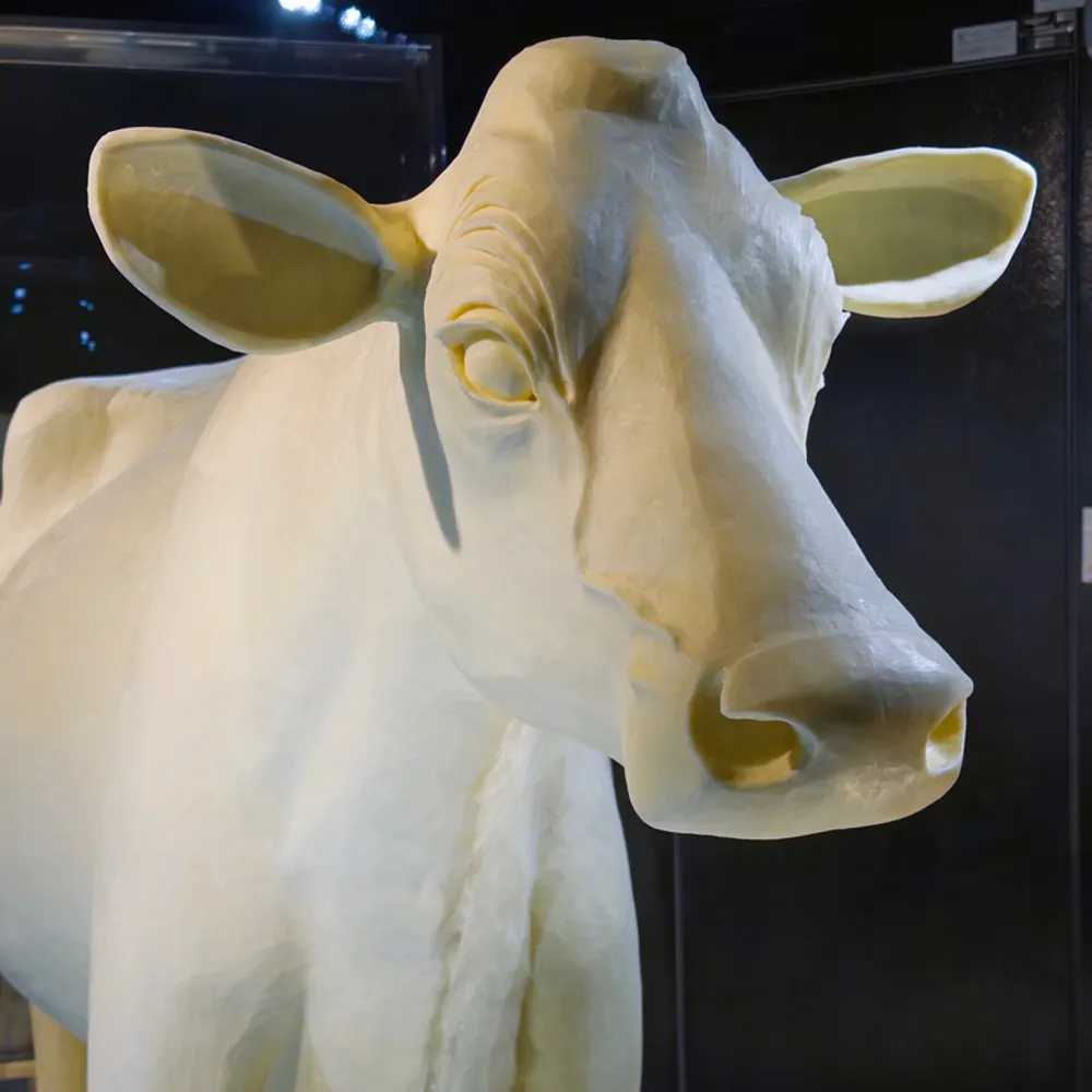 zachpennington.com's profile picture