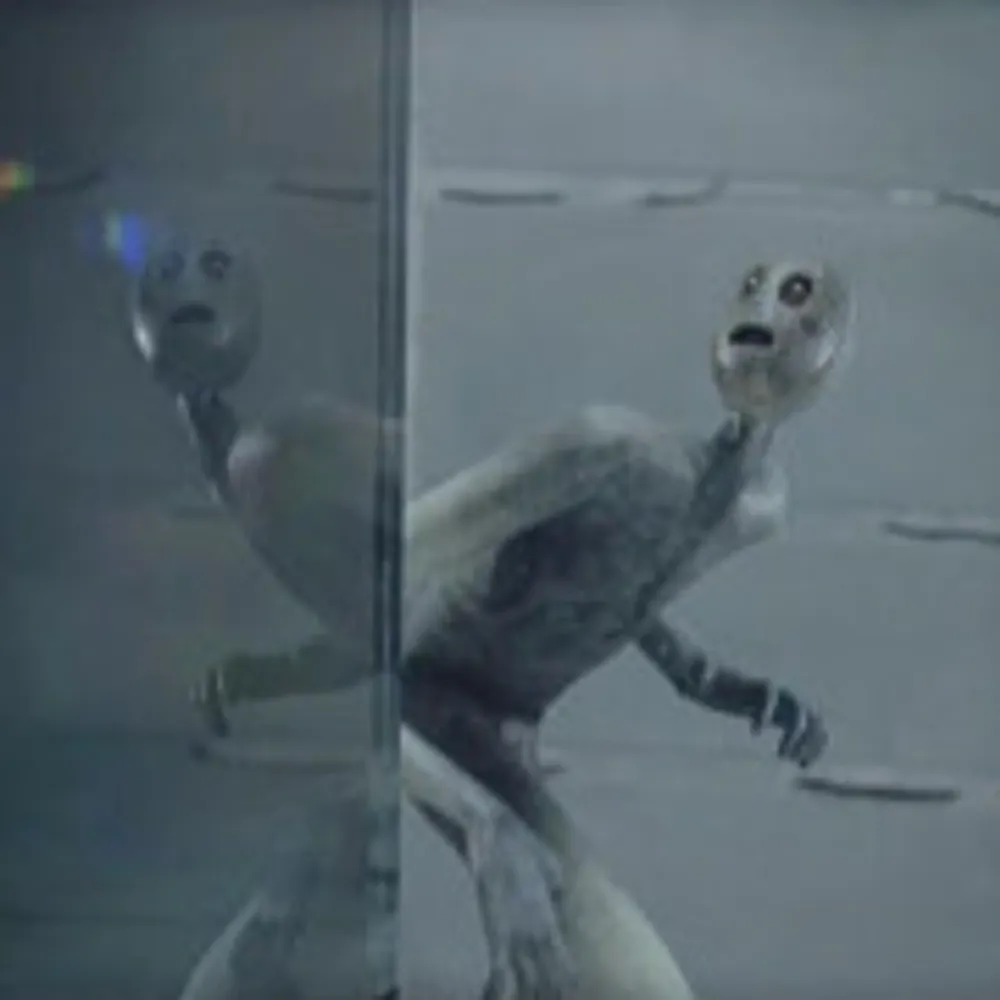 foinsapp.bsky.social's profile picture