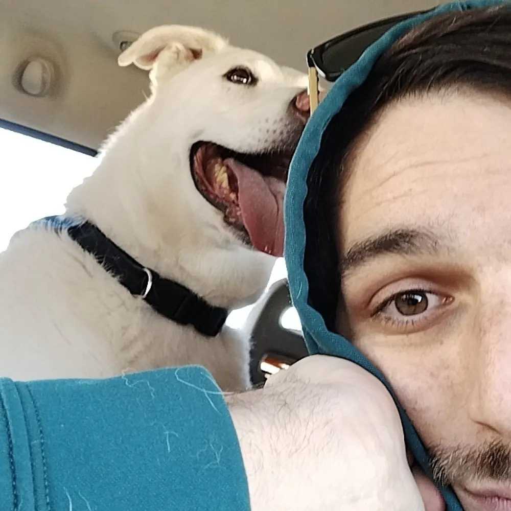 doobie-howitzer.bsky.social's profile picture