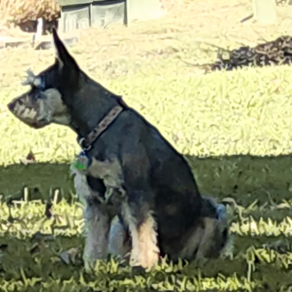 dfroter.bsky.social's profile picture