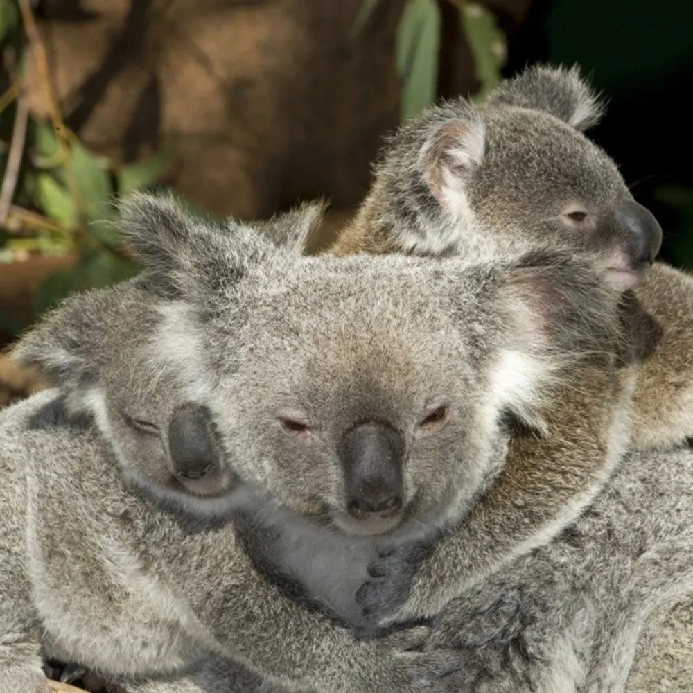 jrjenks.bsky.social's profile picture