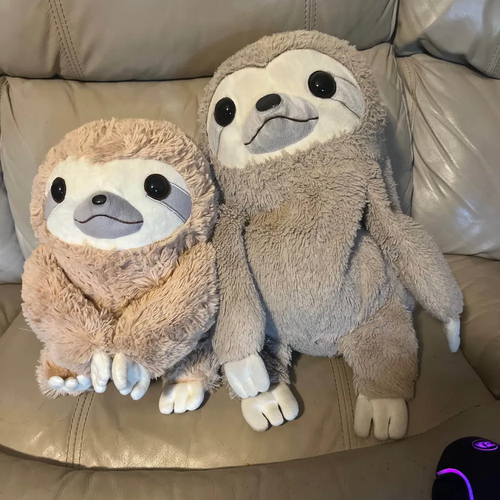 suncrush.bsky.social's profile picture