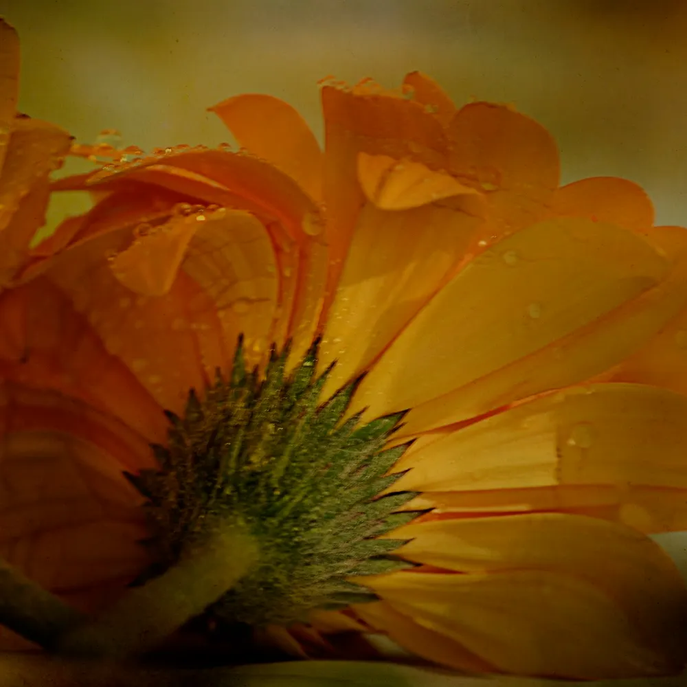 tiadee1031.bsky.social's profile picture